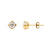 14K Gold | Ohrstecker XENOX
