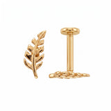 14K Gold | Farn Blatt Piercing Tragus
