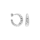 Shell Ohrring