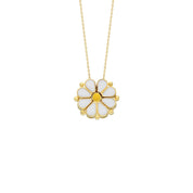 Colorfull Magnet Daisy Halskette (7153014210605)
